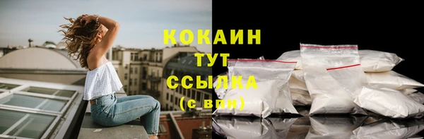 мет Коряжма