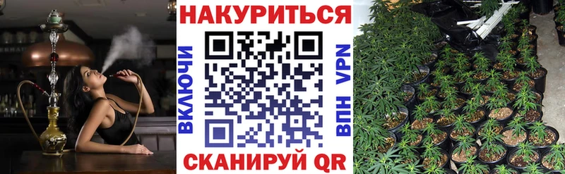 где купить наркотик  Лермонтов  Марихуана LSD WEED 